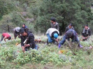 école de médecine récolte